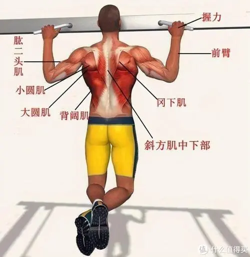 <strong>kaiyun·开云，6P1 6N2电子管功率放大器的电路设计原则有哪些？</strong>